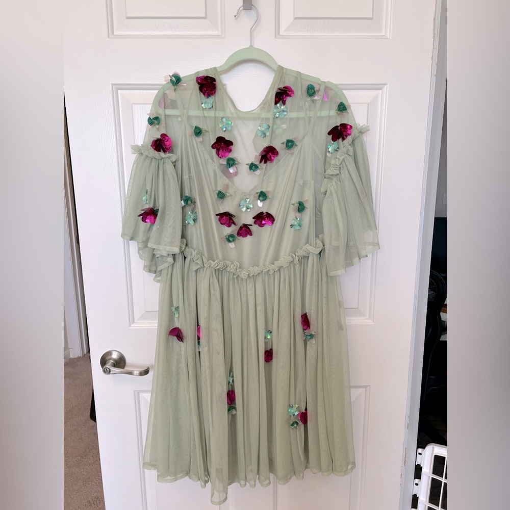 ASOS Curve Sage Mesh Dress with Pink and Teal Floral Appliques